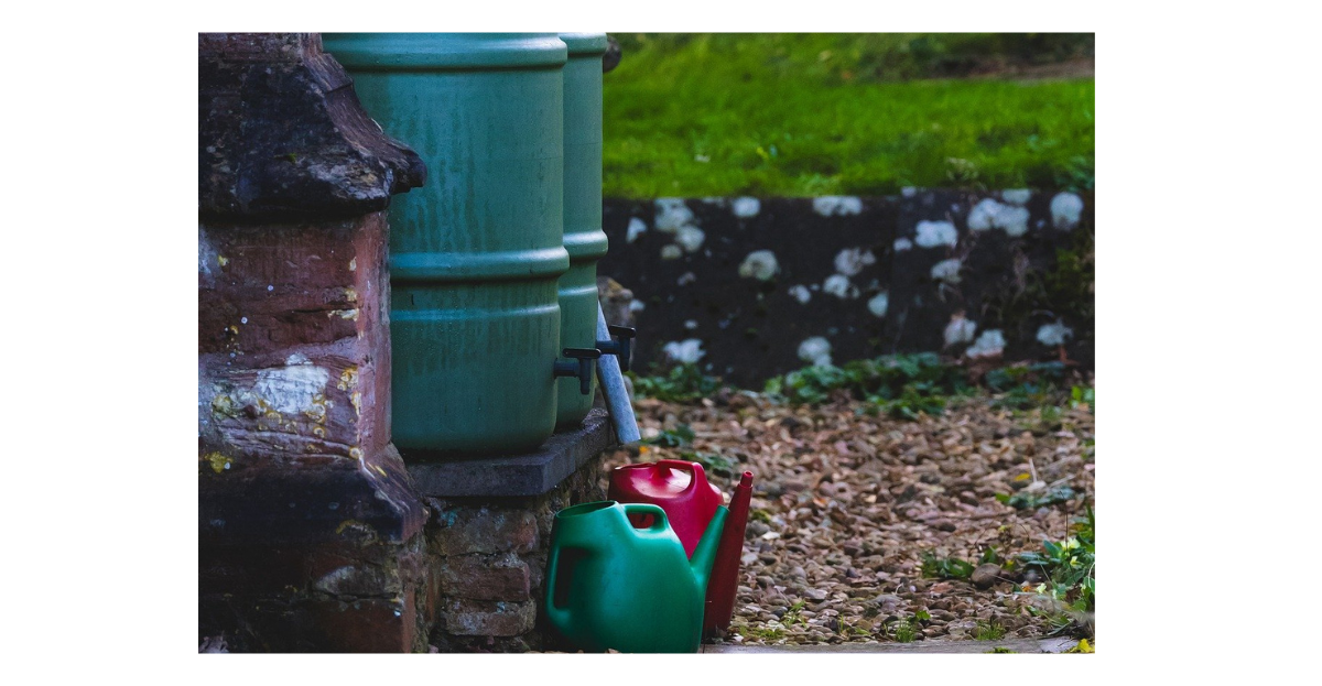 water bucket and watering cans